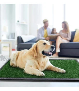 Baño Cesped Artificial Negro para Perro Grande